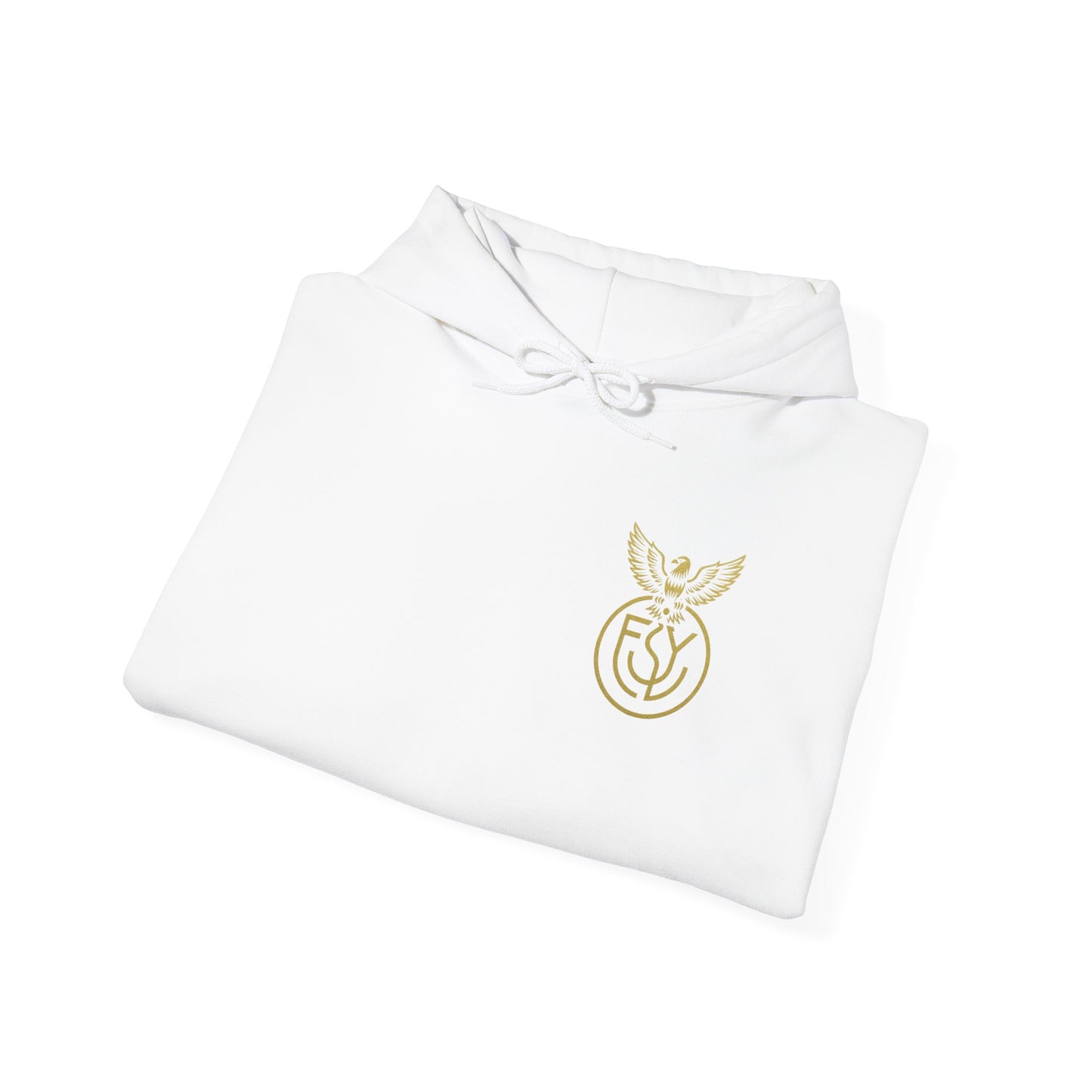 Copy of Copy of Unisex Heavy Blend™ Hooded Sweatshirt