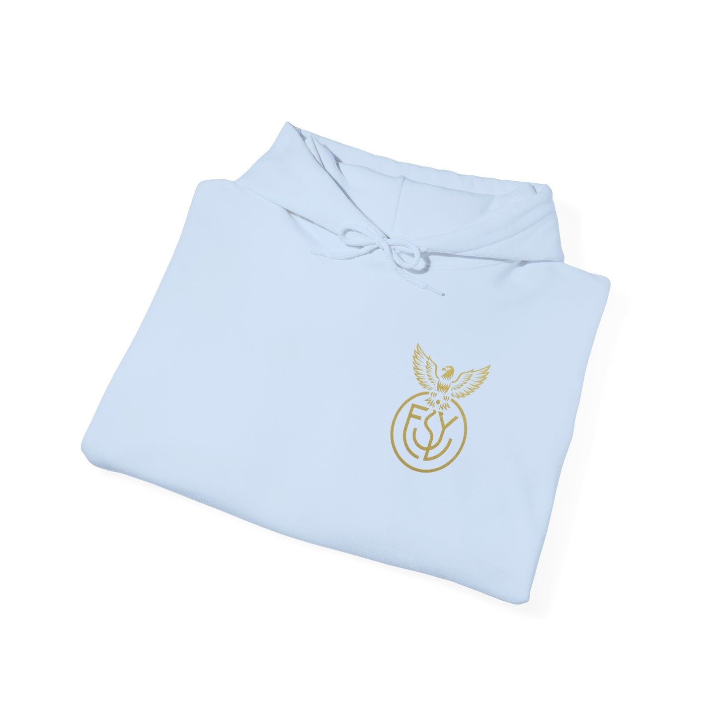 Copy of Copy of Unisex Heavy Blend™ Hooded Sweatshirt