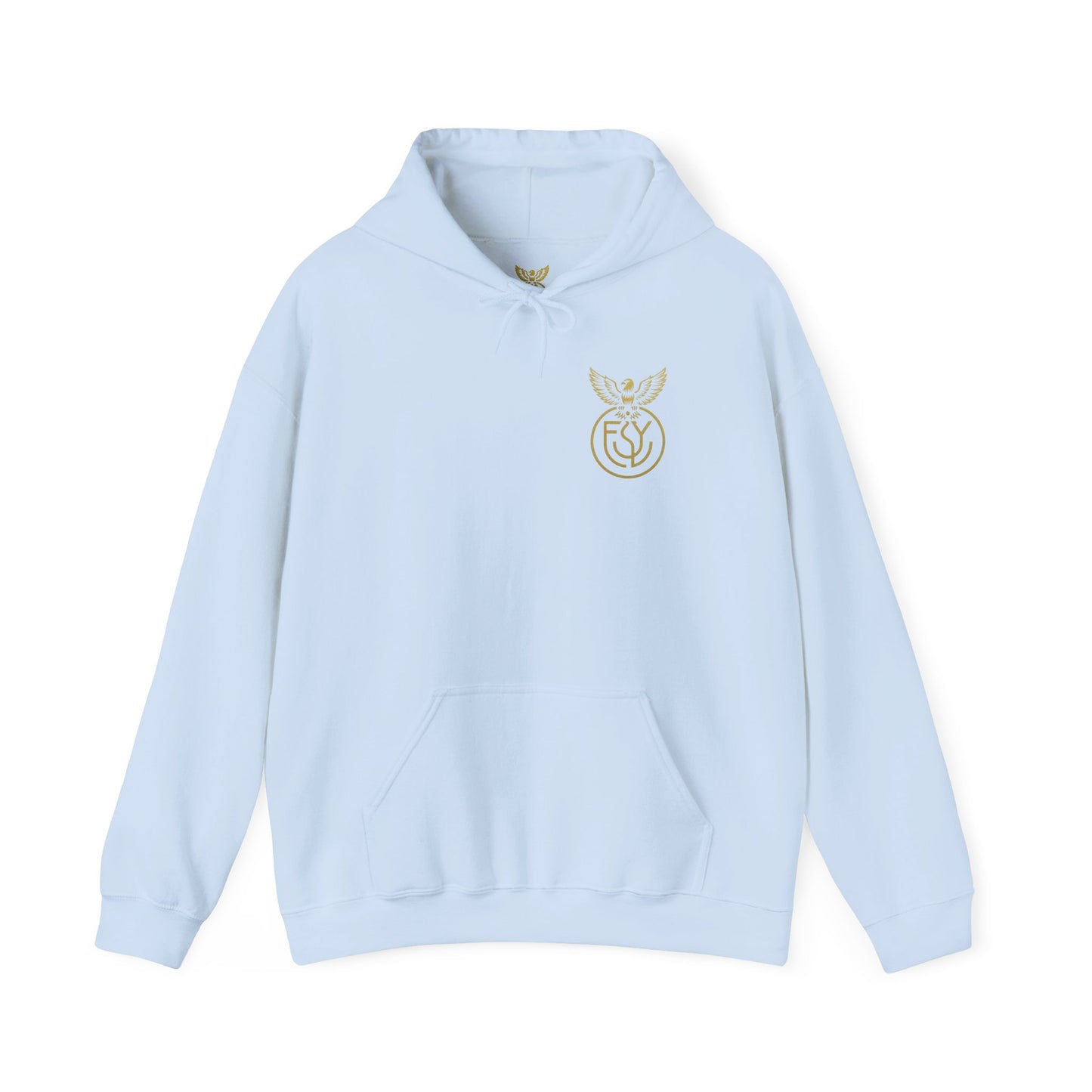Copy of Copy of Unisex Heavy Blend™ Hooded Sweatshirt