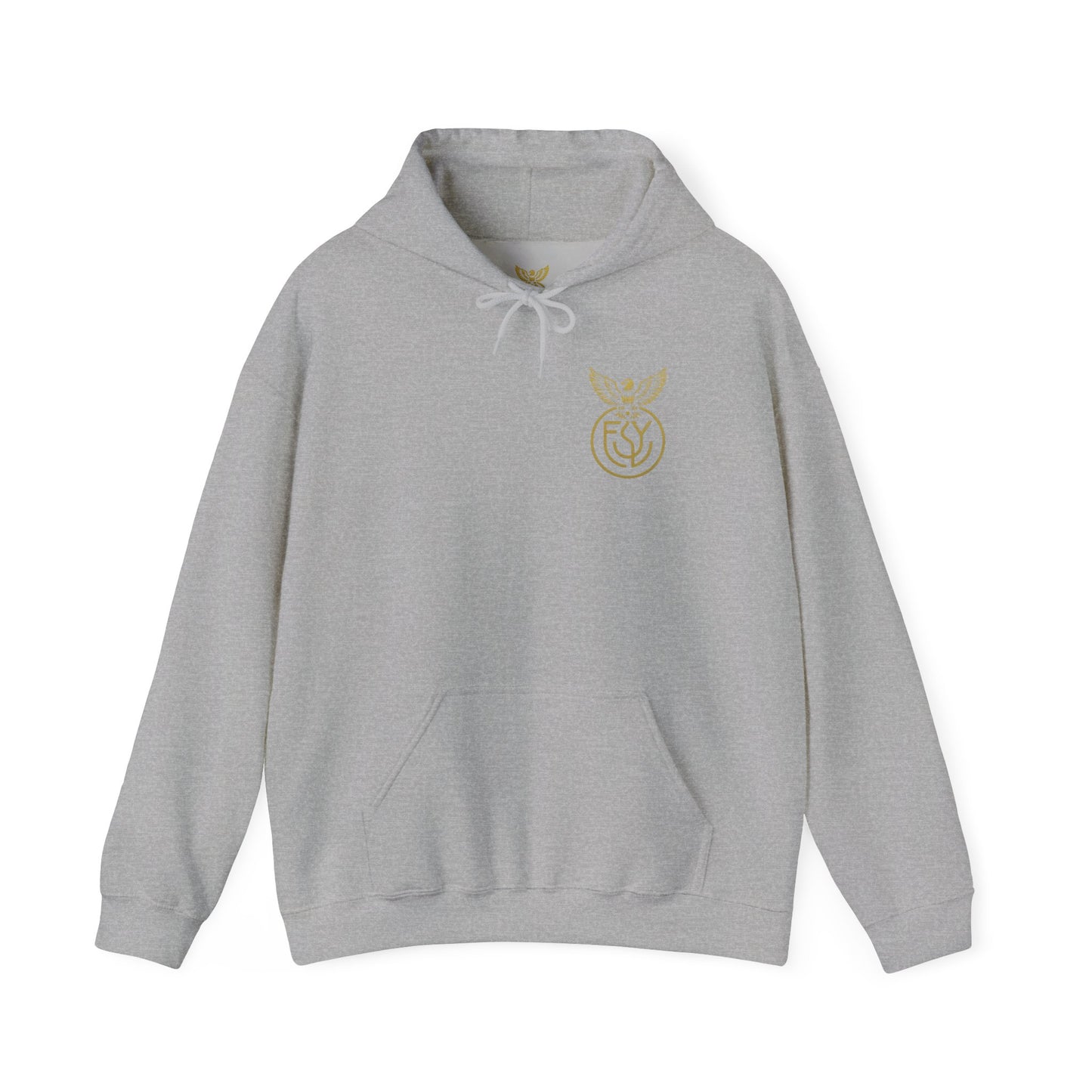 Copy of Copy of Unisex Heavy Blend™ Hooded Sweatshirt