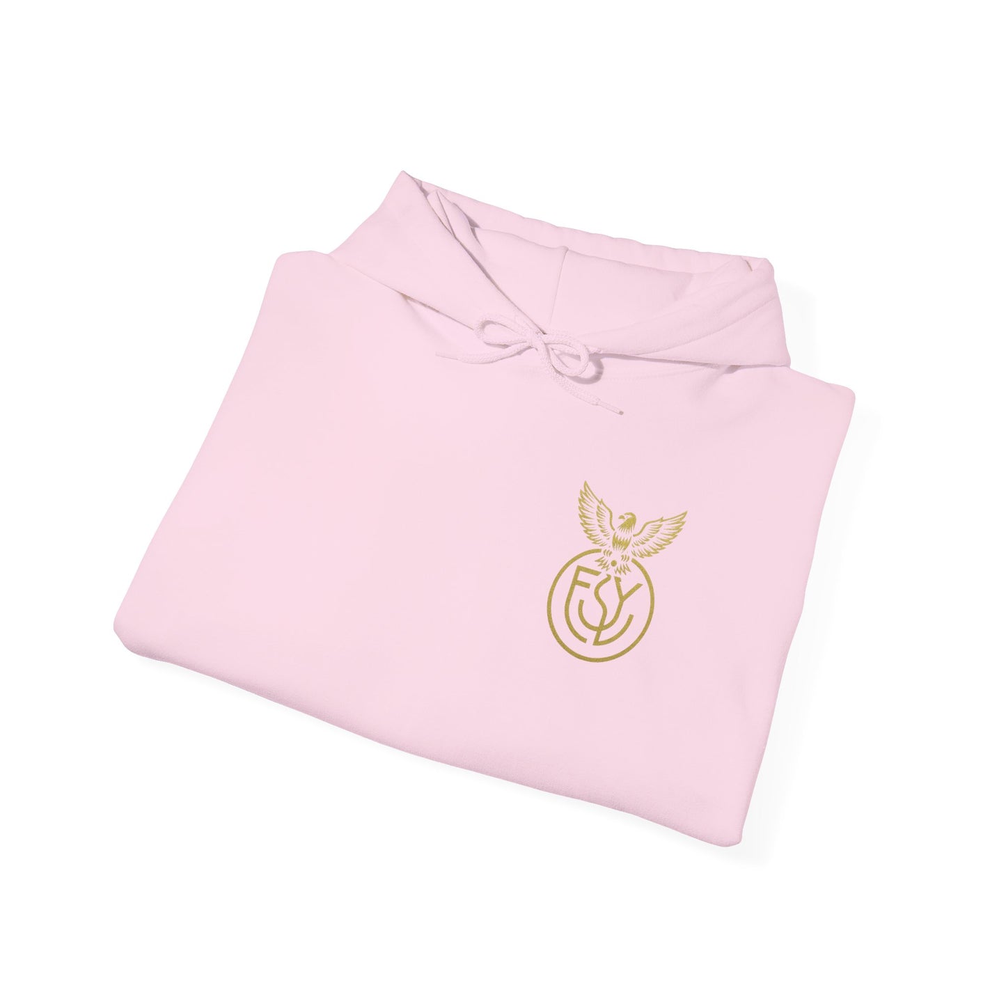 Copy of Copy of Unisex Heavy Blend™ Hooded Sweatshirt