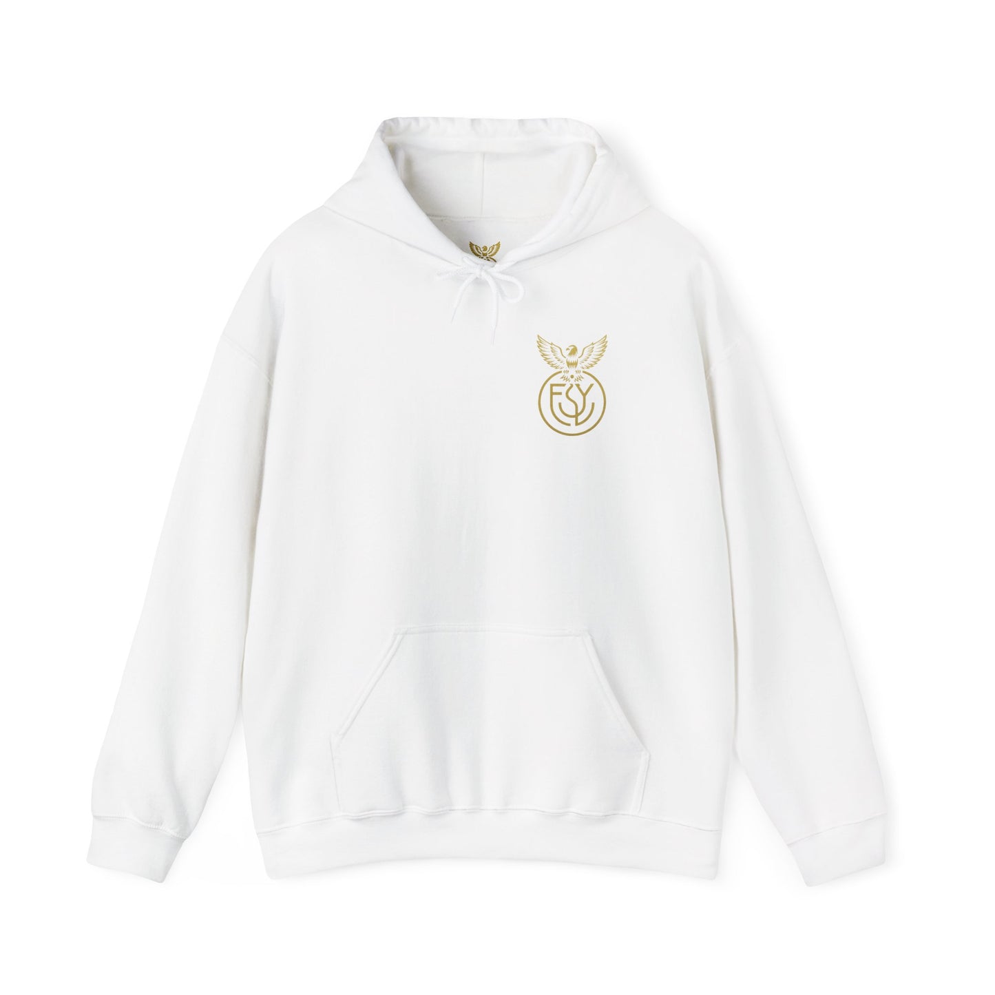 Copy of Copy of Unisex Heavy Blend™ Hooded Sweatshirt