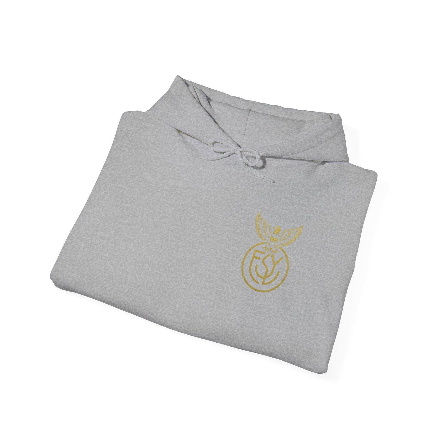 Copy of Copy of Unisex Heavy Blend™ Hooded Sweatshirt