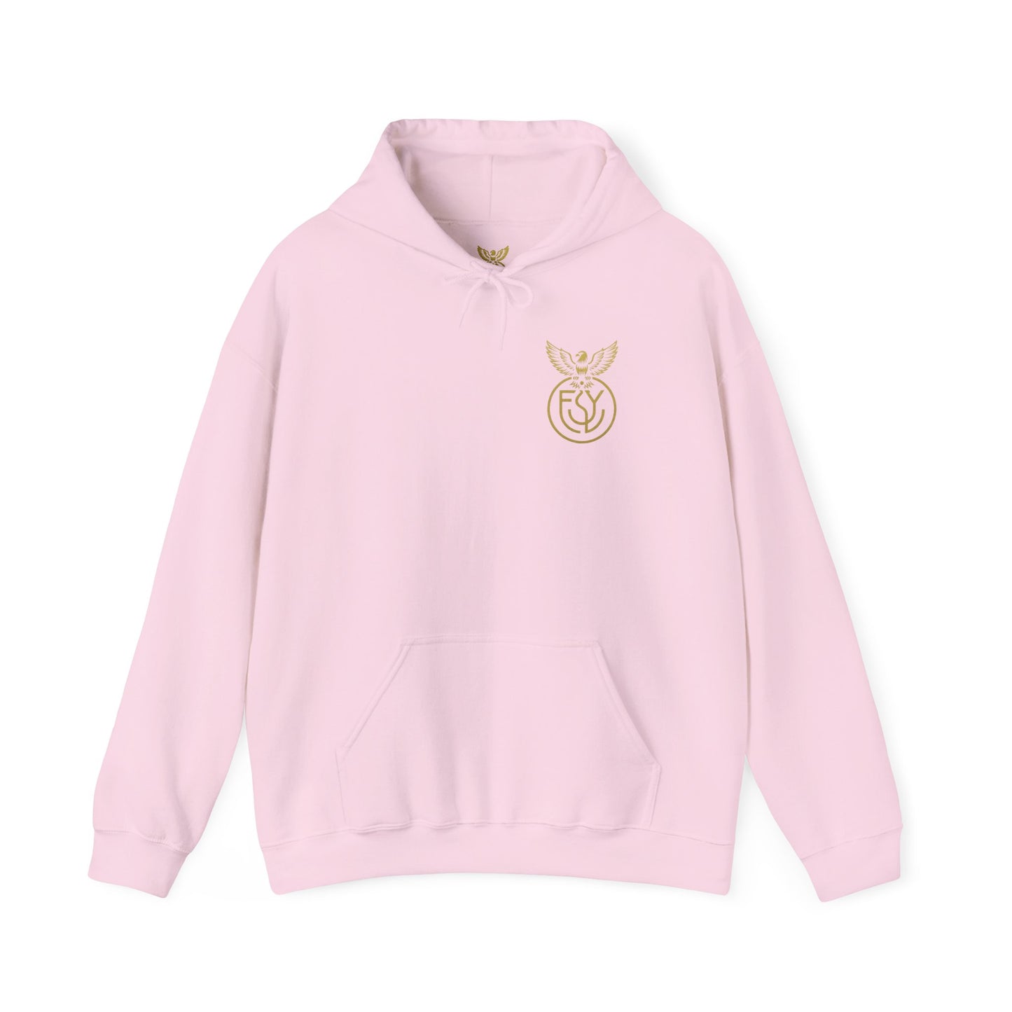 Copy of Copy of Unisex Heavy Blend™ Hooded Sweatshirt
